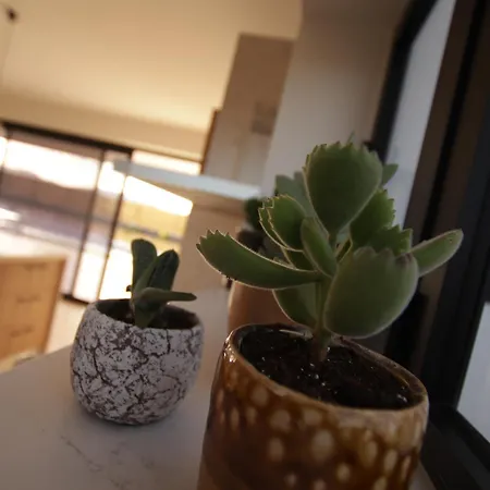 Vakantiehuis Elements